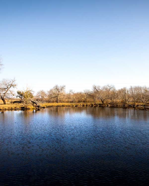 3407 Cr 215 McCoy TX